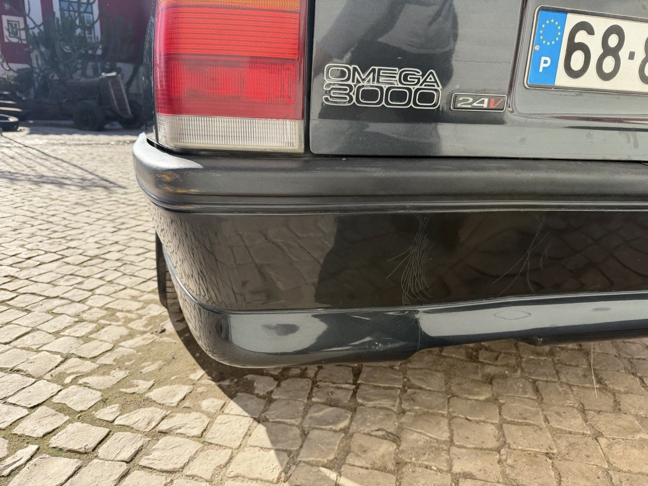 IMG_2805 – grande.jpeg