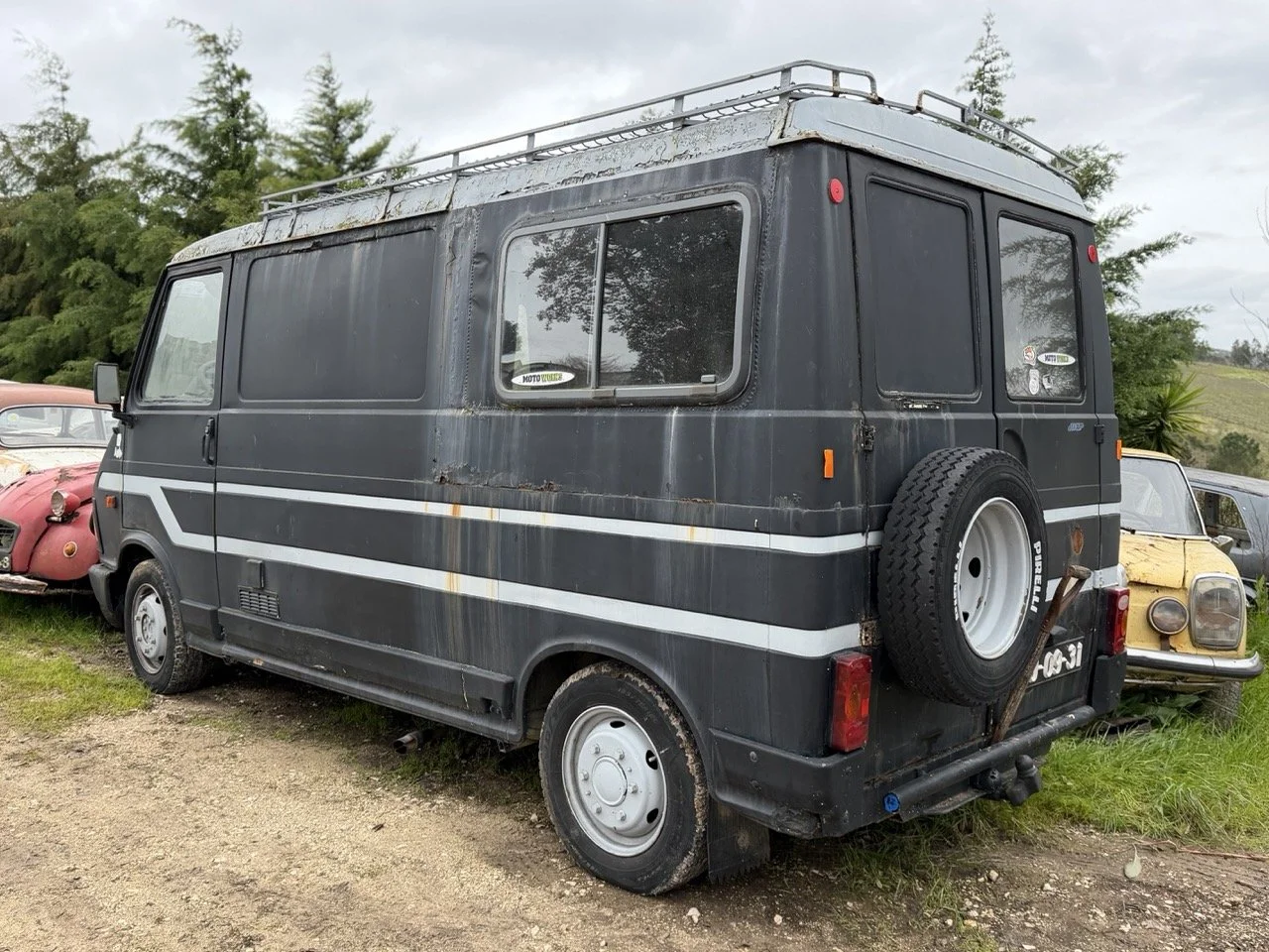 IMG_1298 – grande.jpeg