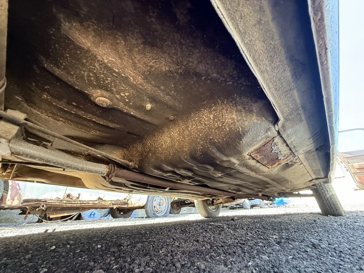 IMG_0813 – grande.jpeg