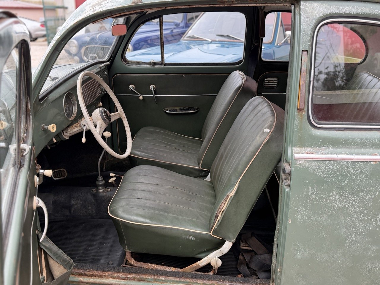 IMG_1113 – grande.jpeg