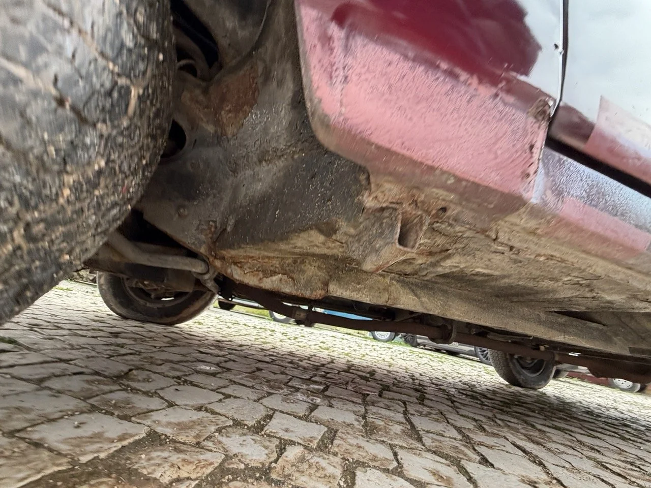 IMG_4954 – grande.jpeg