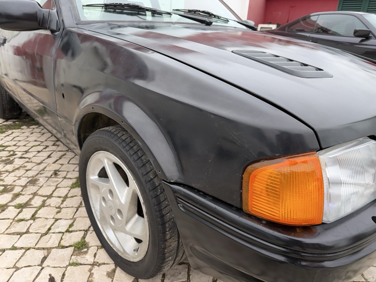 IMG_1322 – grande.jpeg