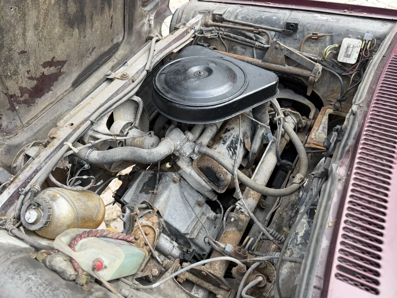 IMG_4906 – grande.jpeg