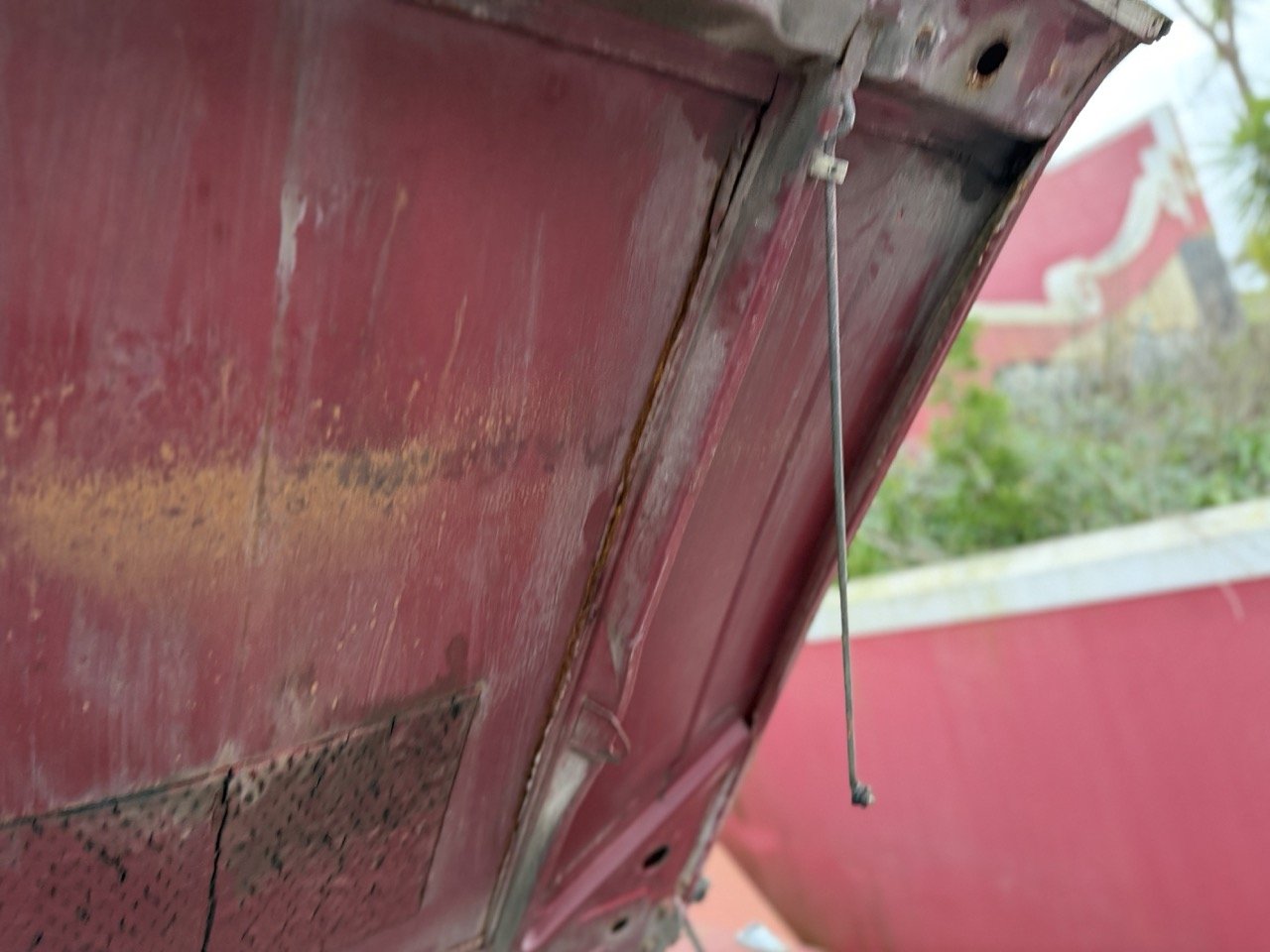 IMG_8963 – grande.jpeg