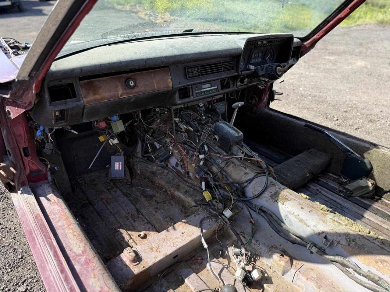 IMG_2976 – grande.jpeg