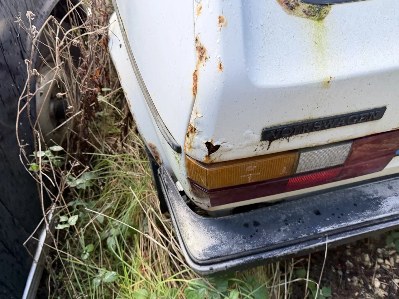 IMG_5196 – grande.jpeg