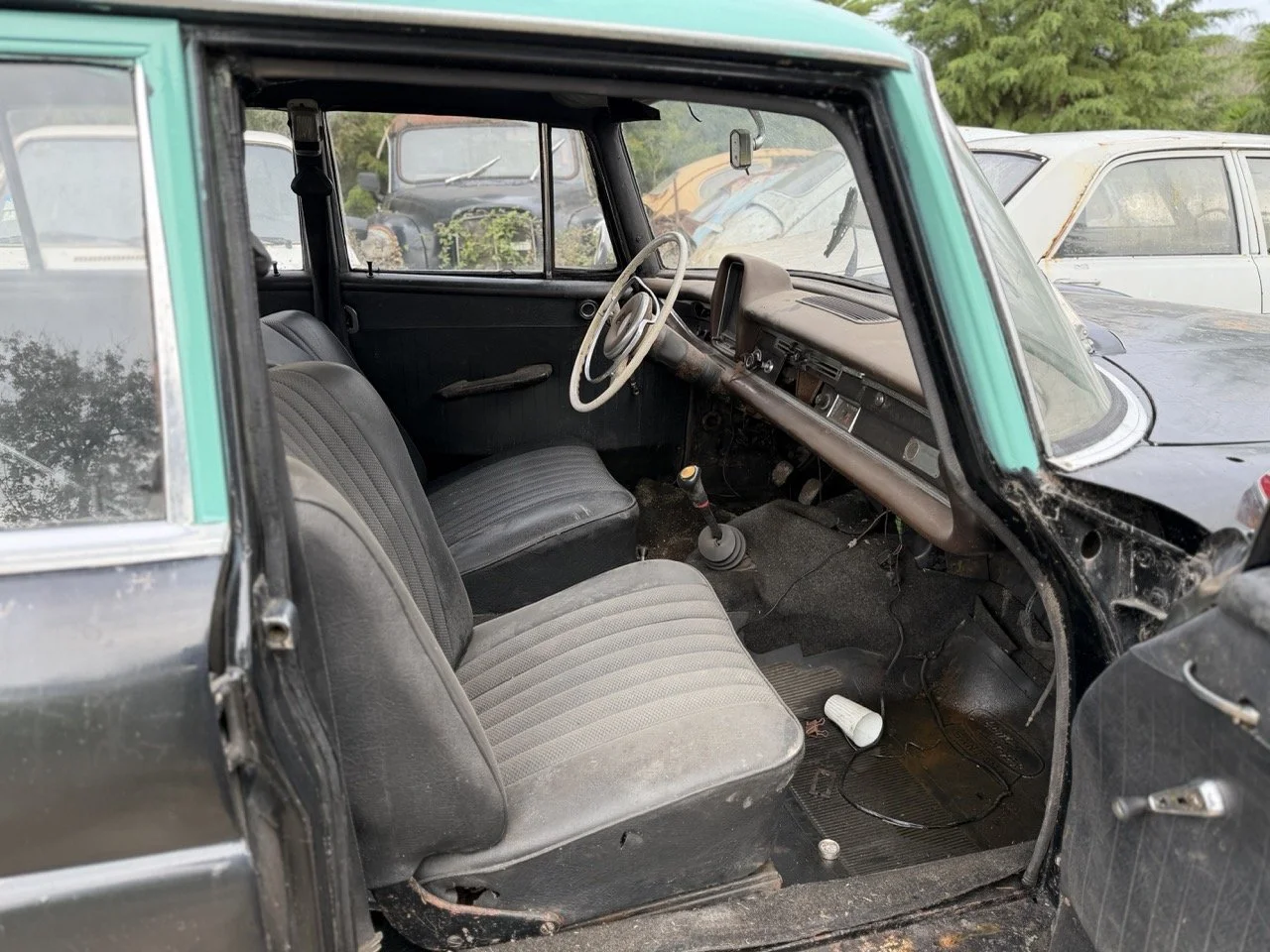 IMG_5023 – grande.jpeg