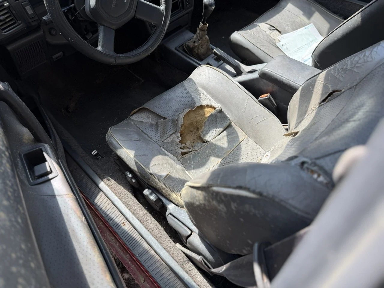 IMG_7615 – grande.jpeg