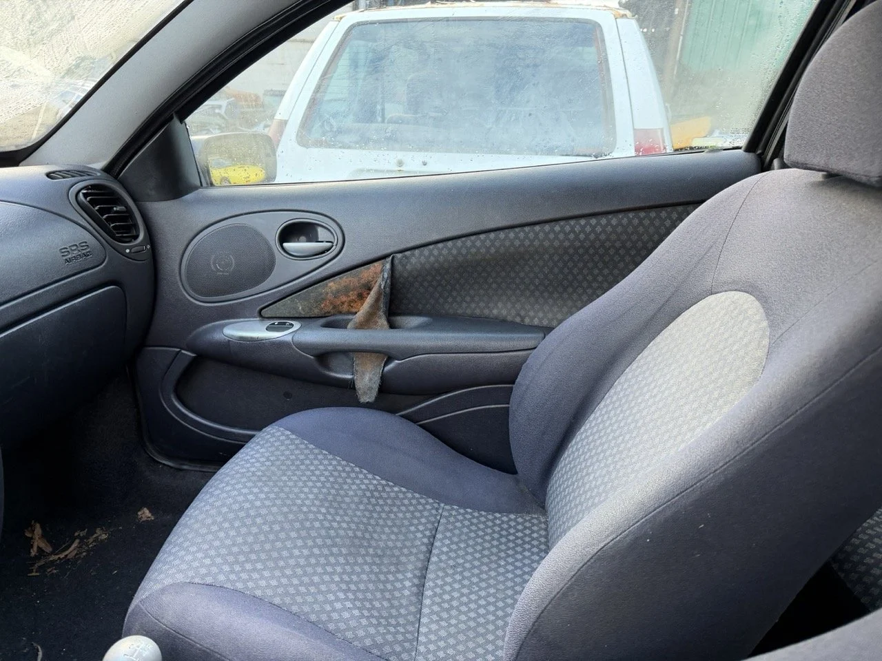 IMG_5297 – grande.jpeg