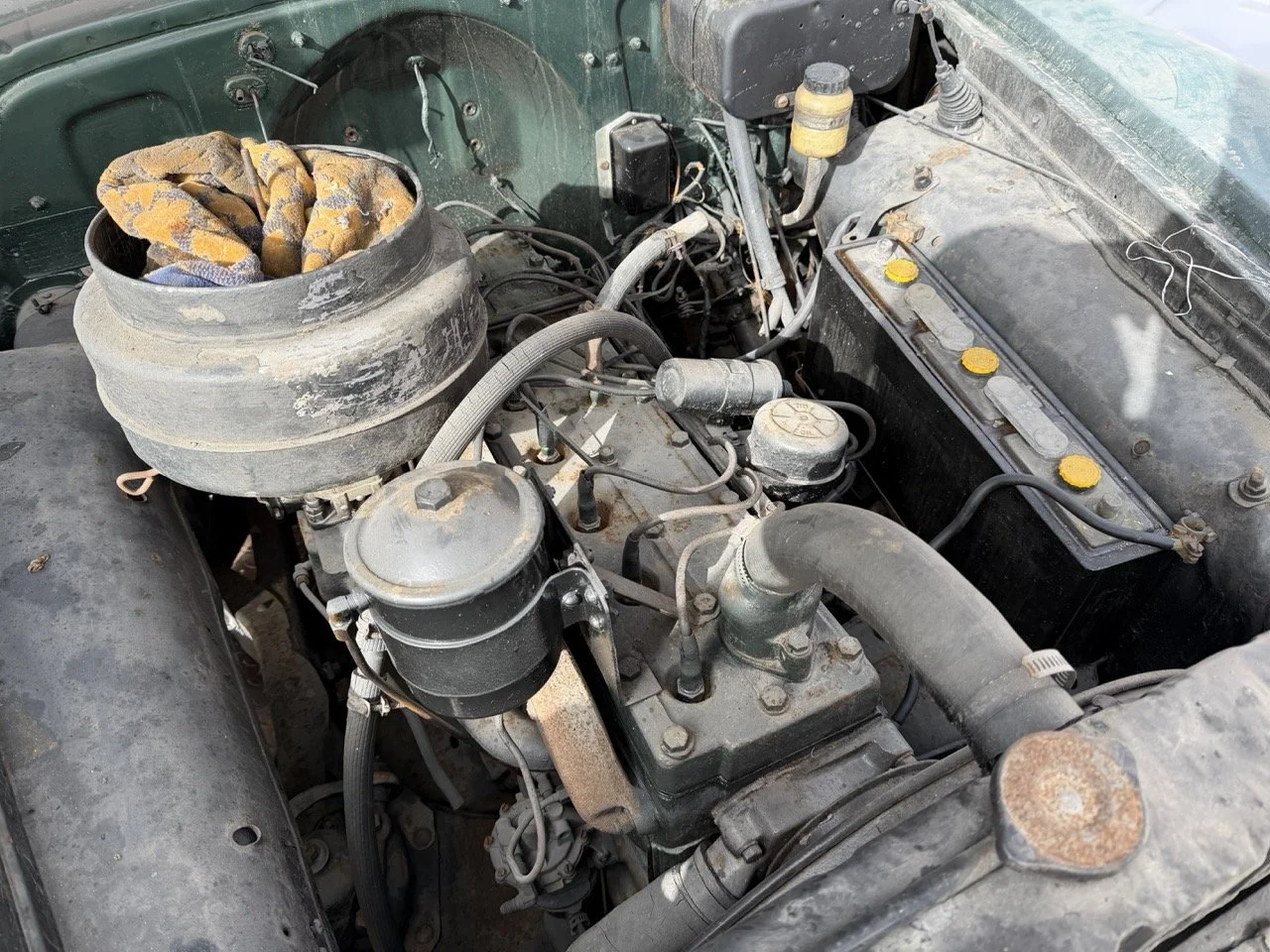 IMG_1795 – grande.jpeg