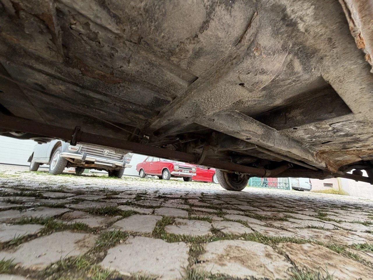 IMG_4945 – grande.jpeg