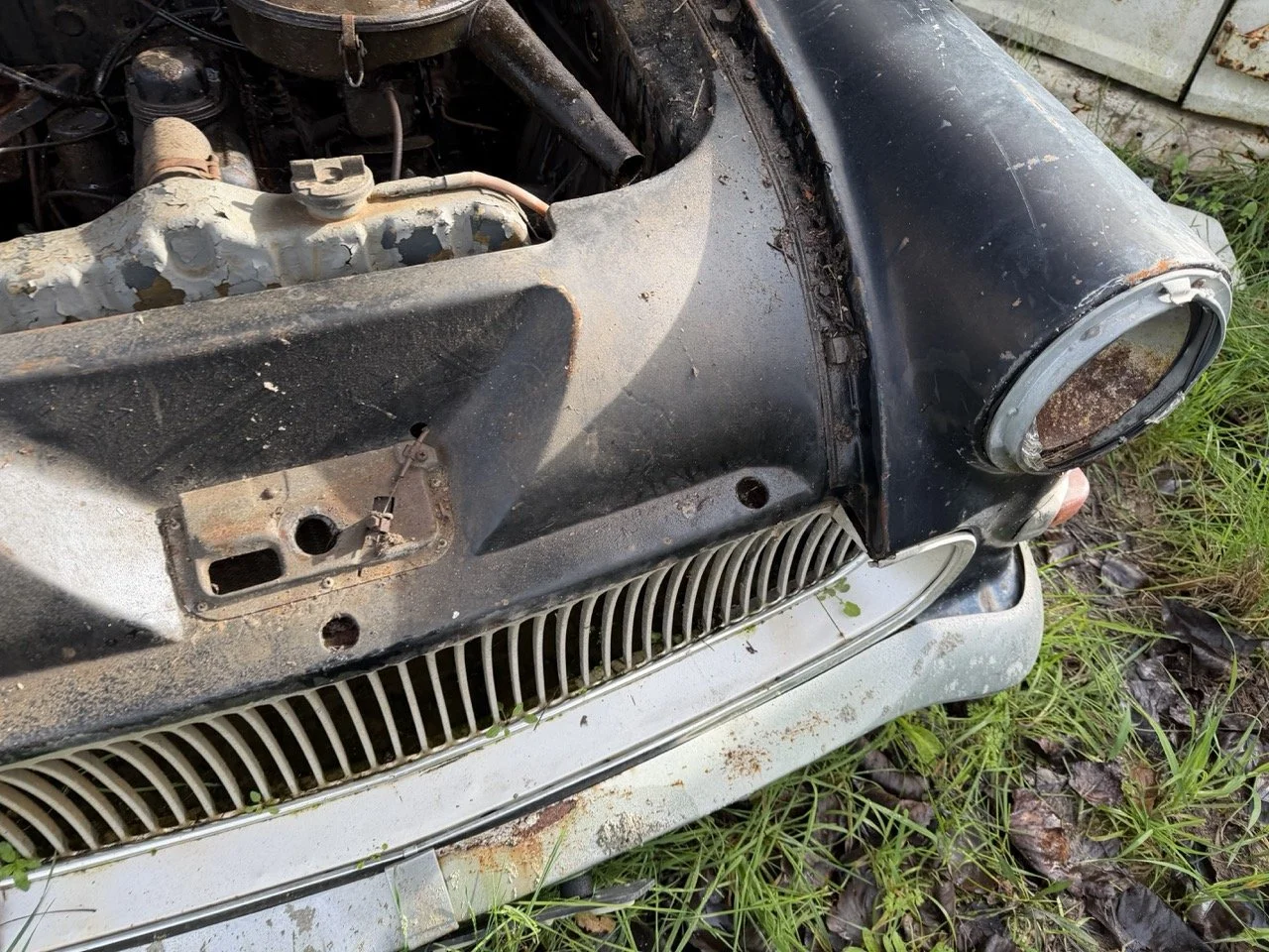 IMG_5091 – grande.jpeg