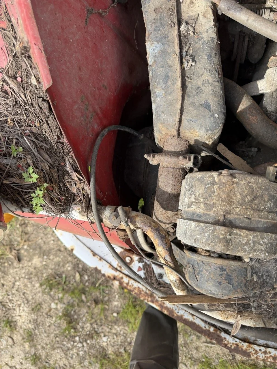 IMG_3867 – grande.jpeg