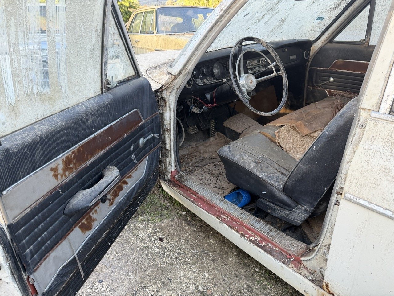 IMG_4078 – grande.jpeg