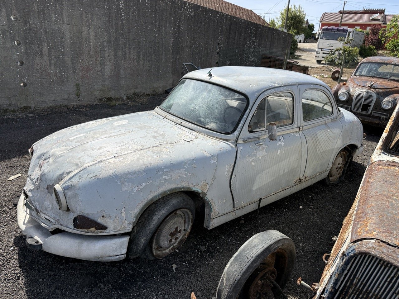 IMG_0317 – grande.jpeg