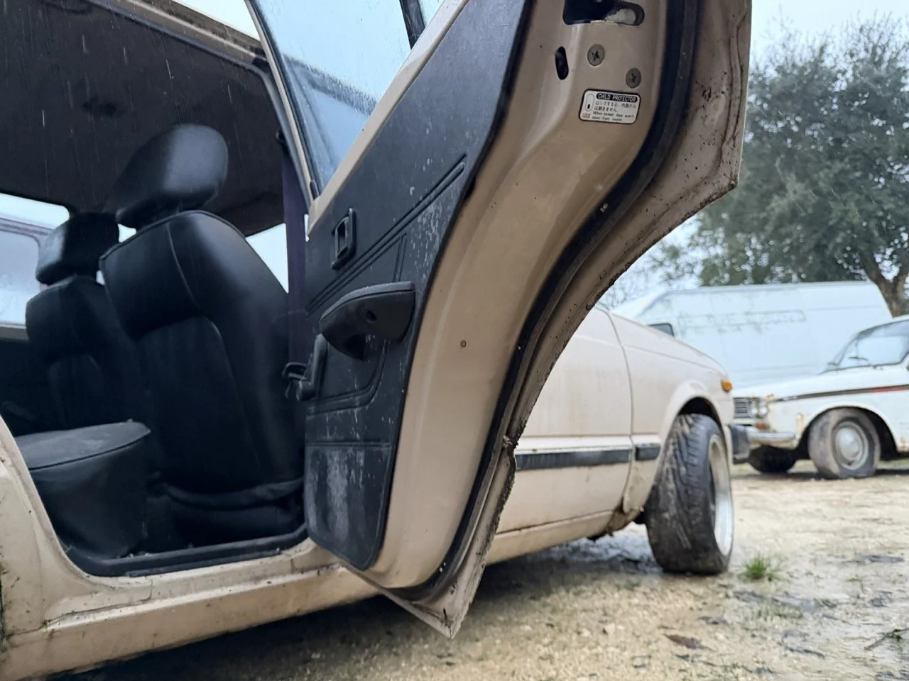 IMG_0225 – grande.jpeg