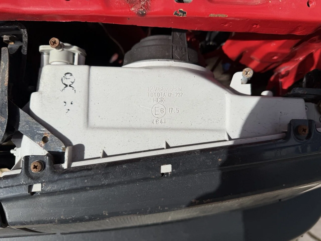 IMG_2358 – grande.jpeg