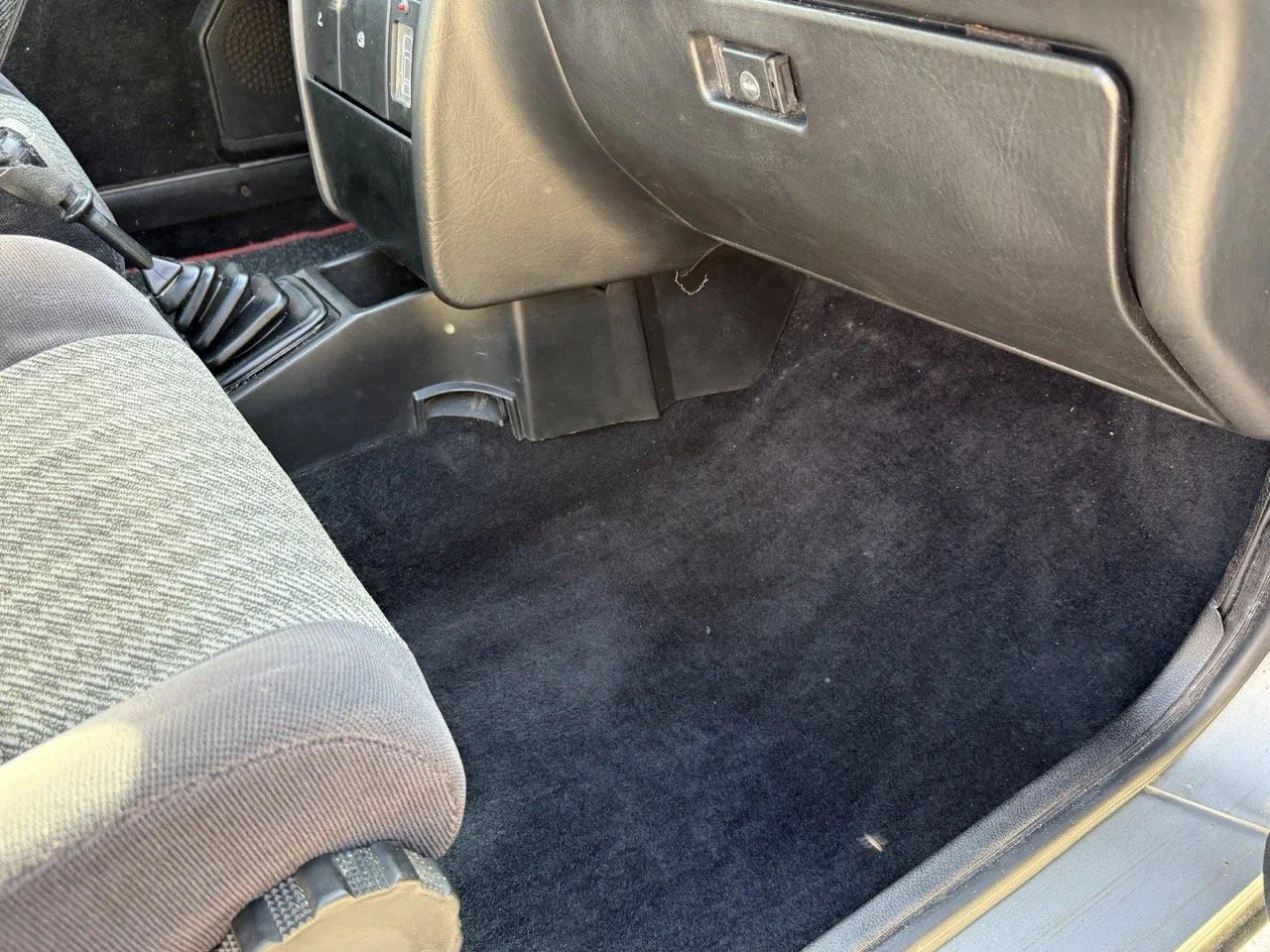 IMG_2608 – grande.jpeg