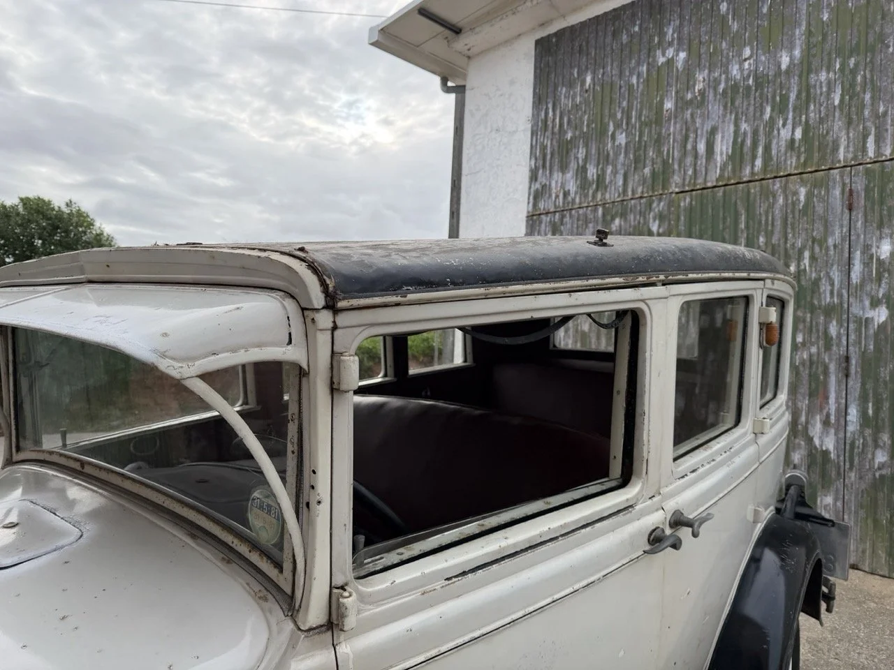 IMG_1624 – grande.jpeg