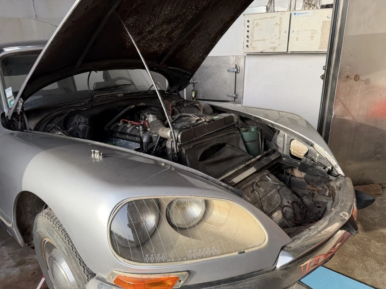 IMG_0326 – grande.jpeg