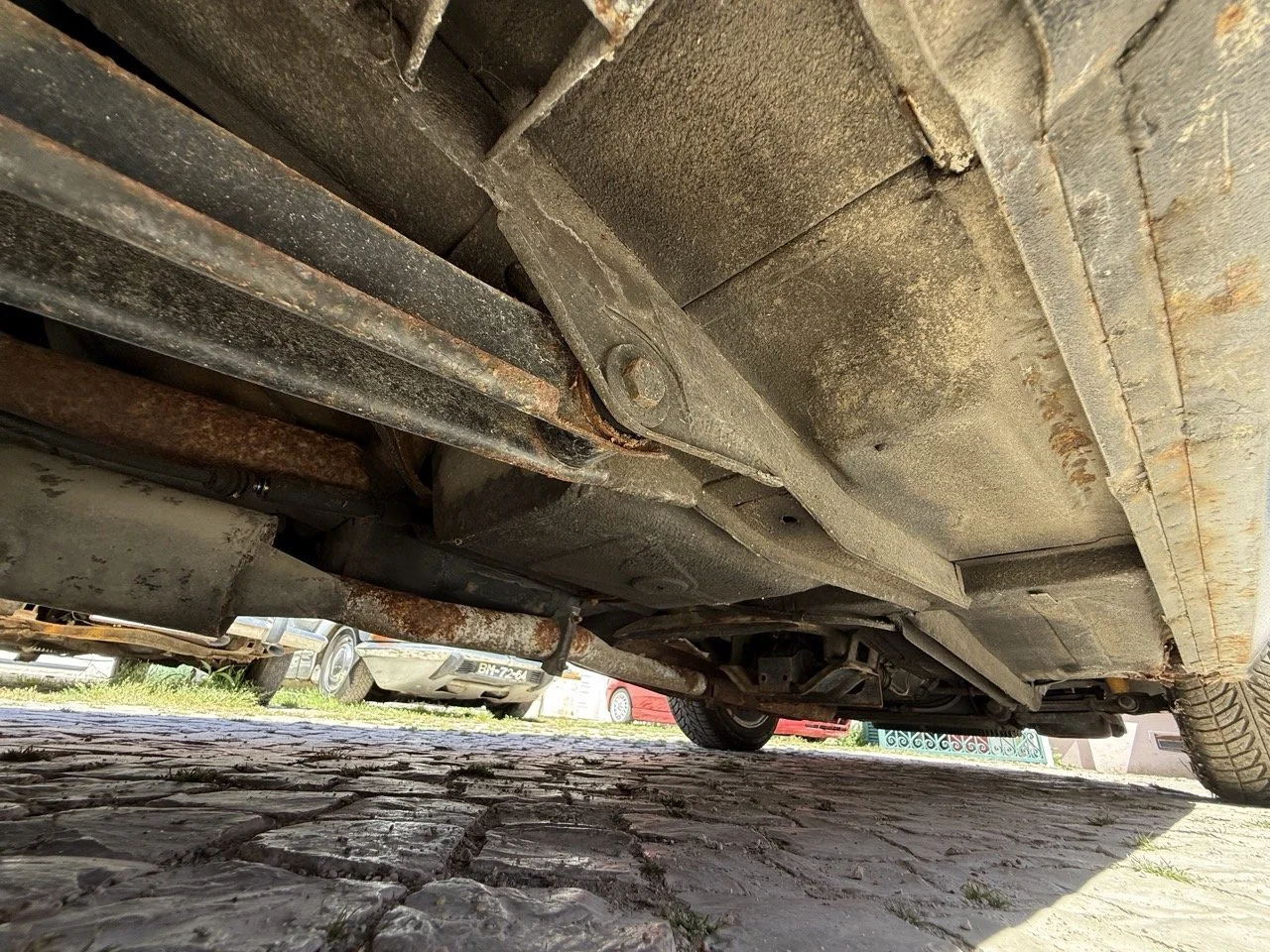 IMG_2236 – grande.jpeg