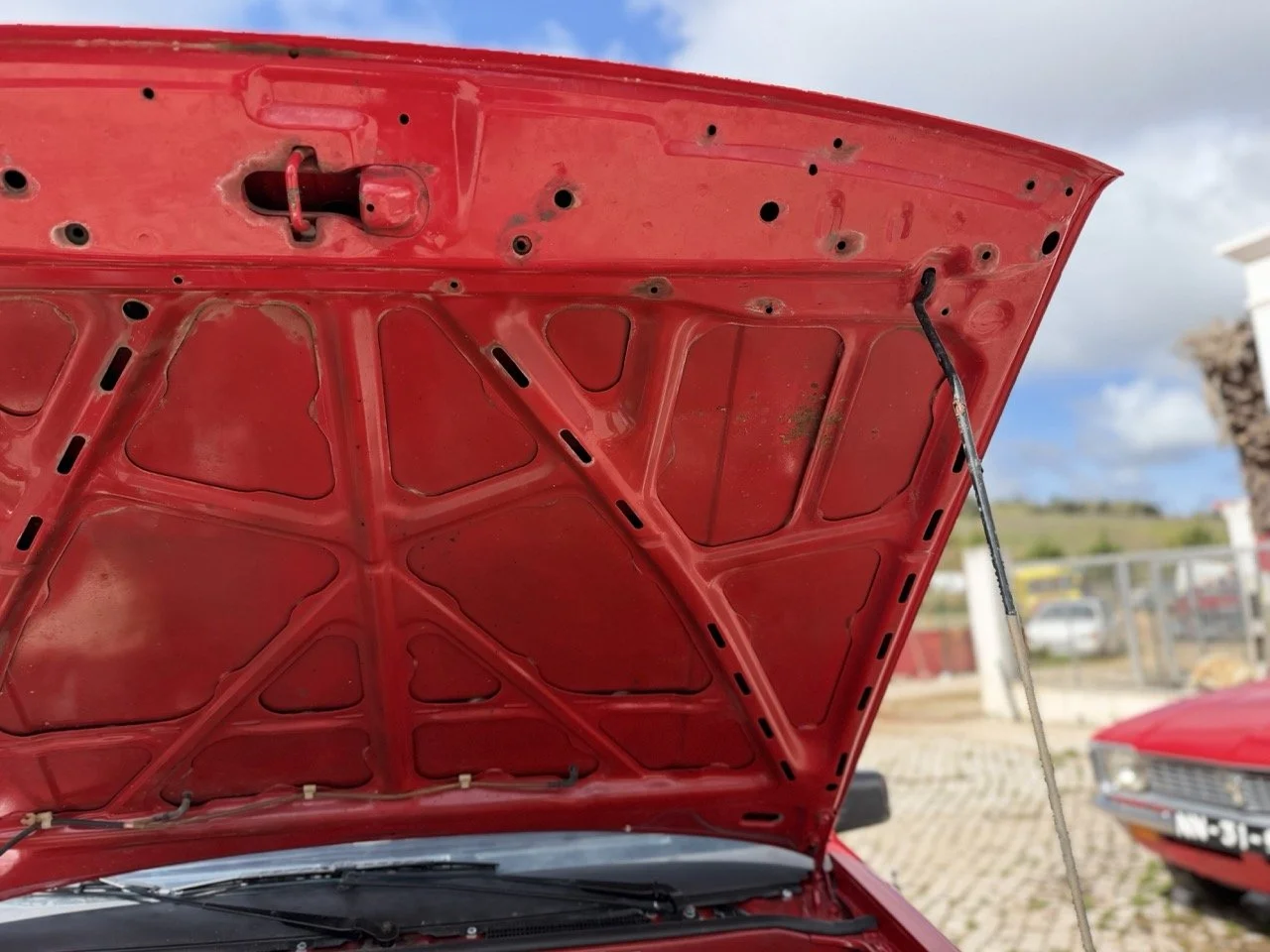 IMG_2360 – grande.jpeg