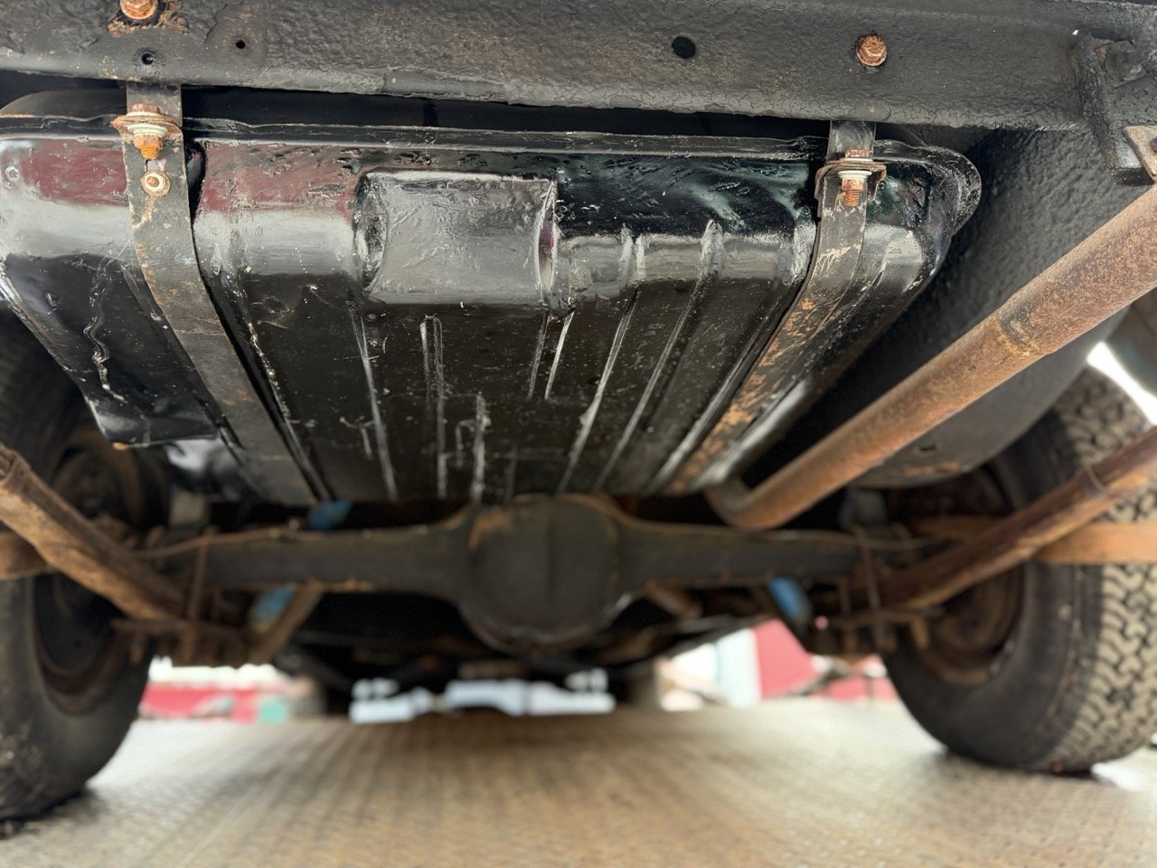 IMG_1778 – grande.jpeg