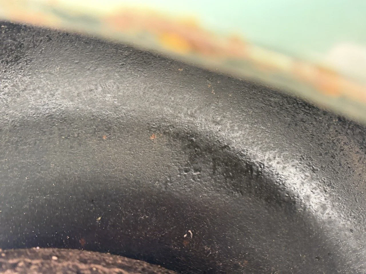 IMG_9897 – grande.jpeg