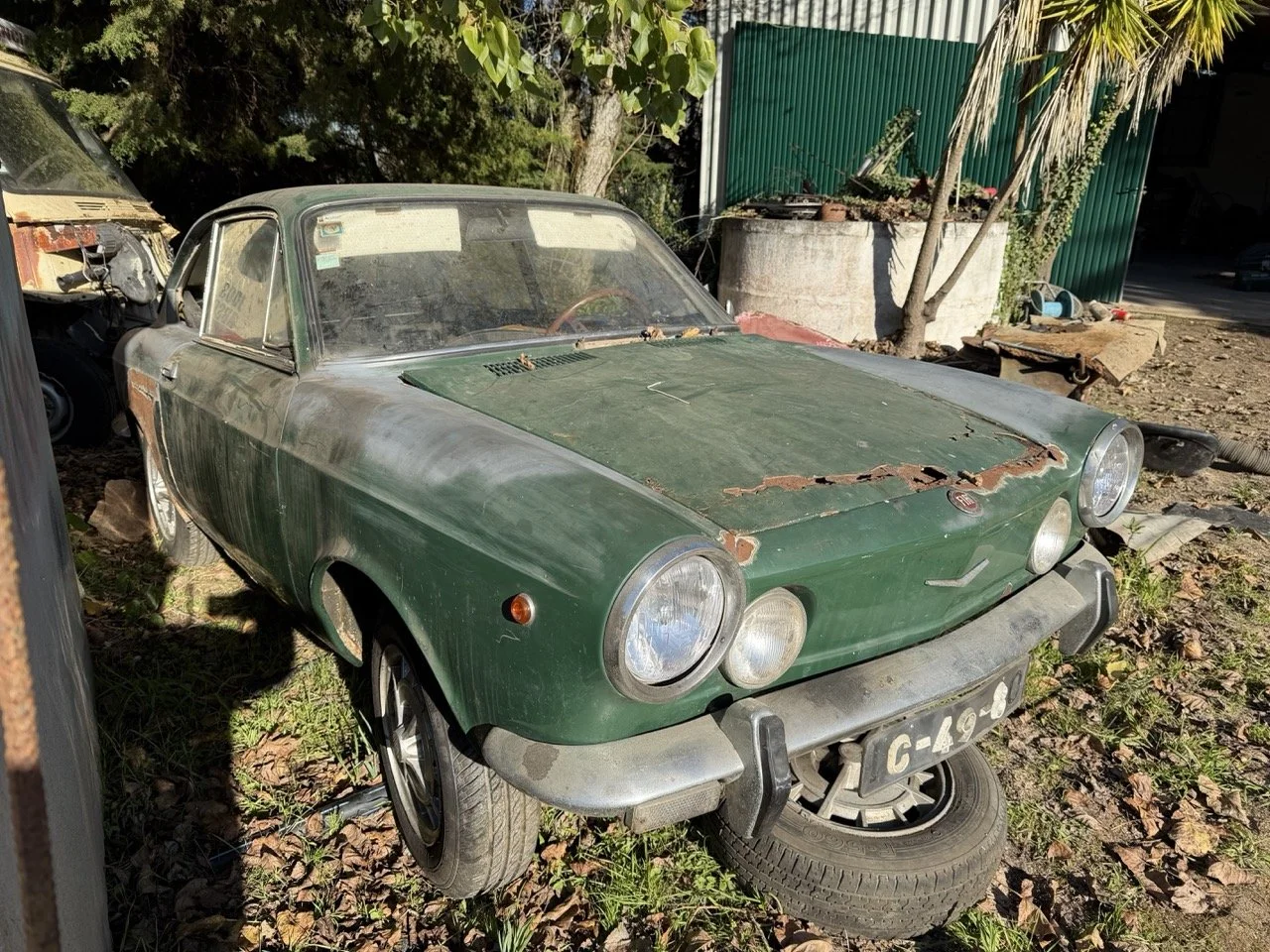 IMG_2835 – grande.jpeg