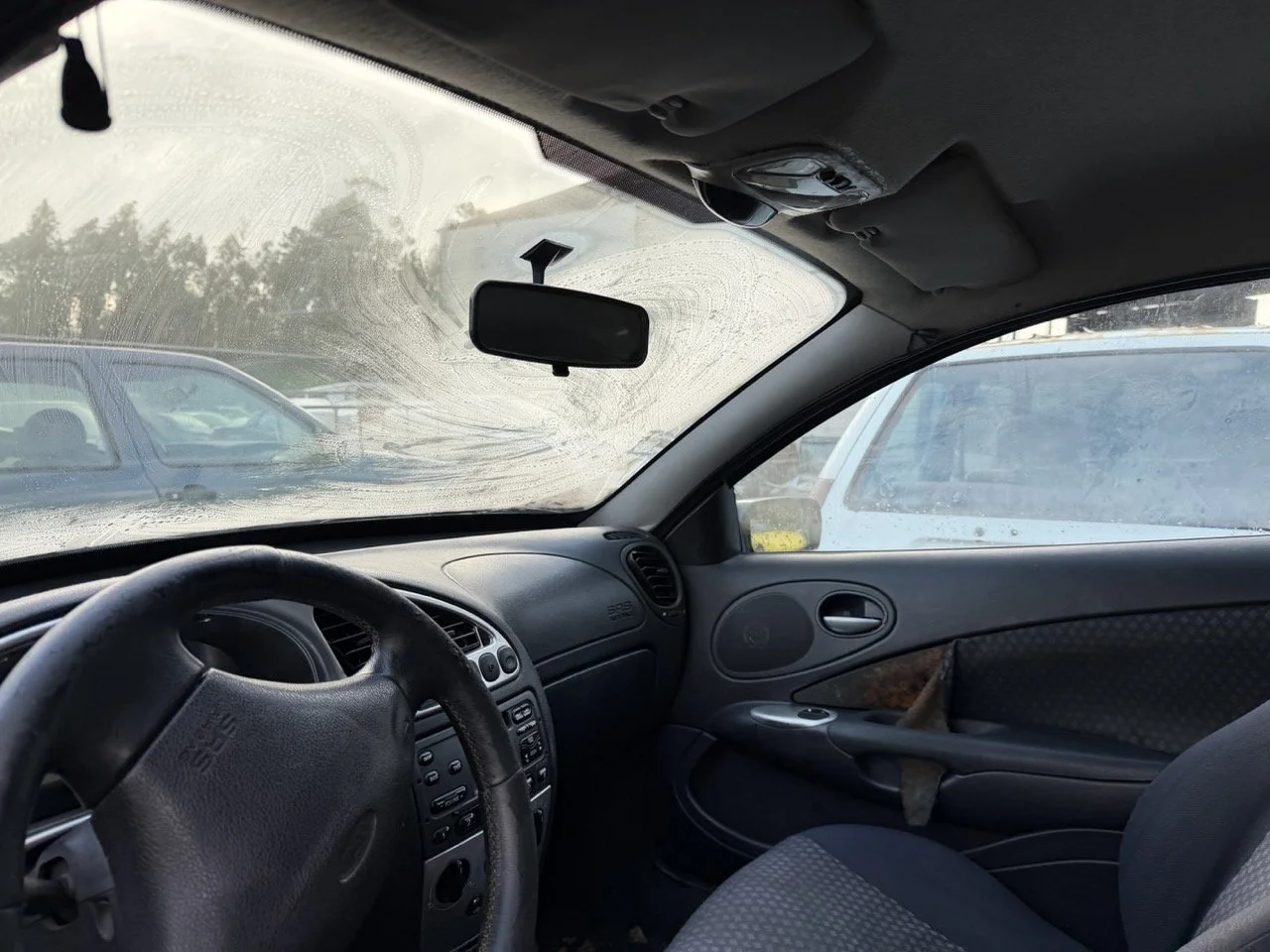 IMG_5299 – grande.jpeg