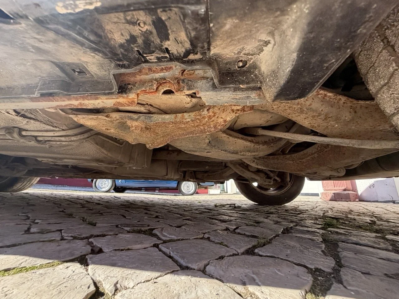 IMG_2818 – grande.jpeg