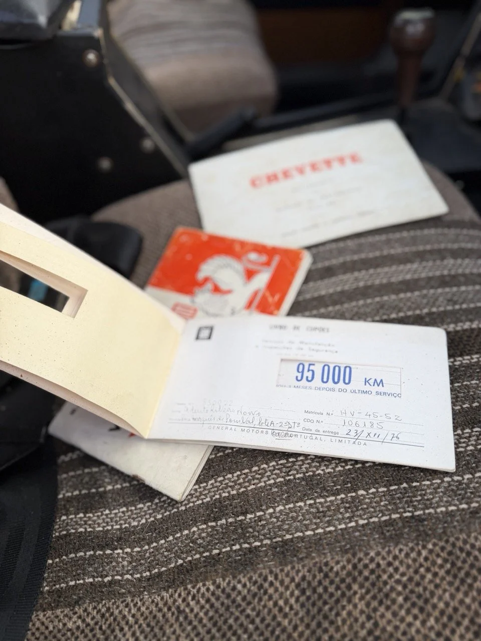 IMG_8737 – grande.jpeg