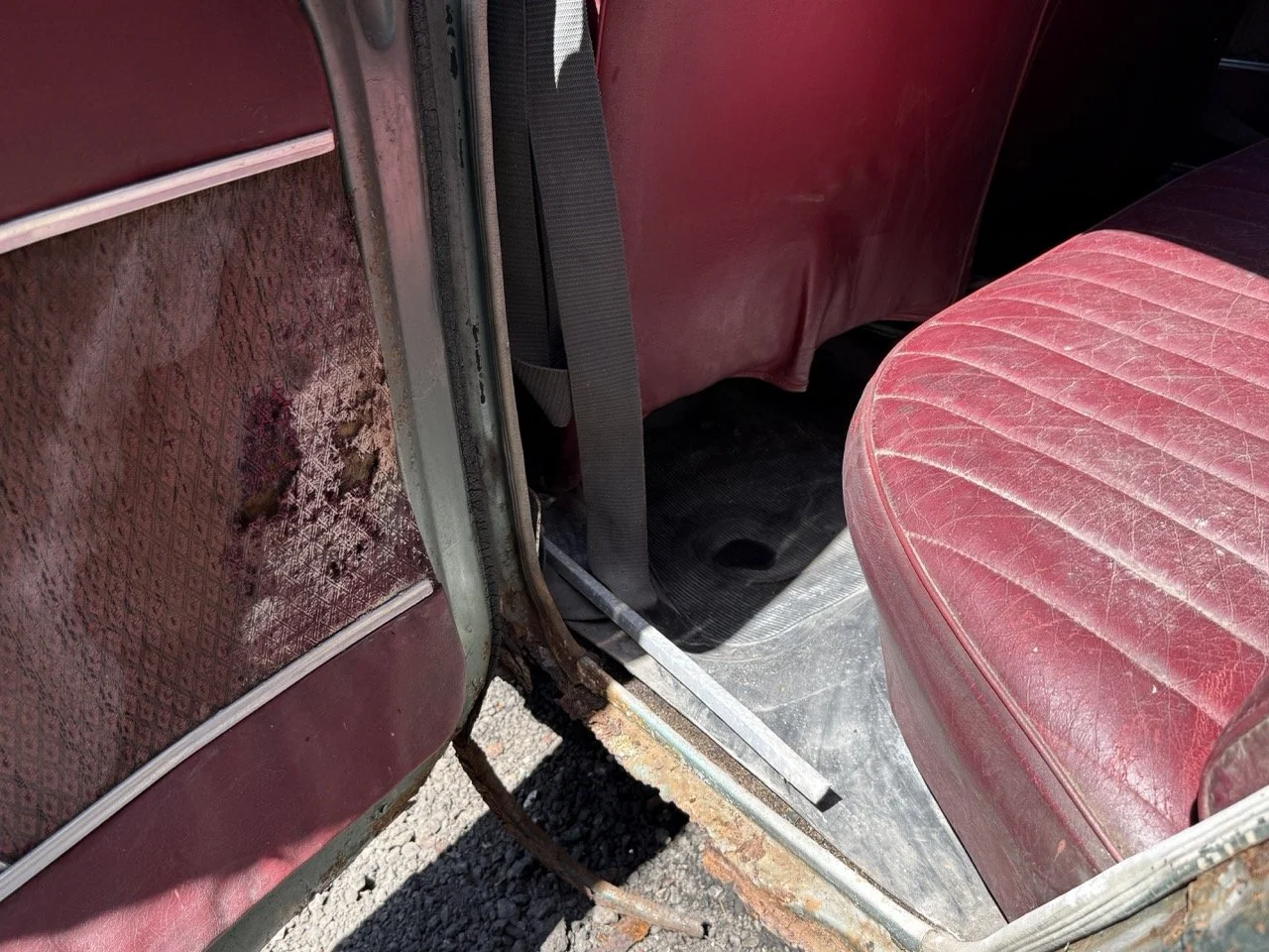 IMG_0856 – grande.jpeg