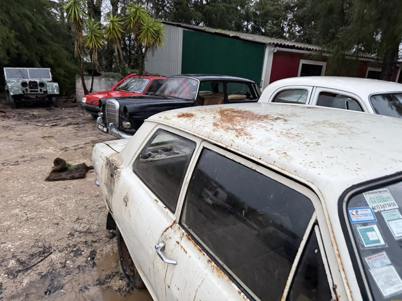 IMG_0126 – grande.jpeg