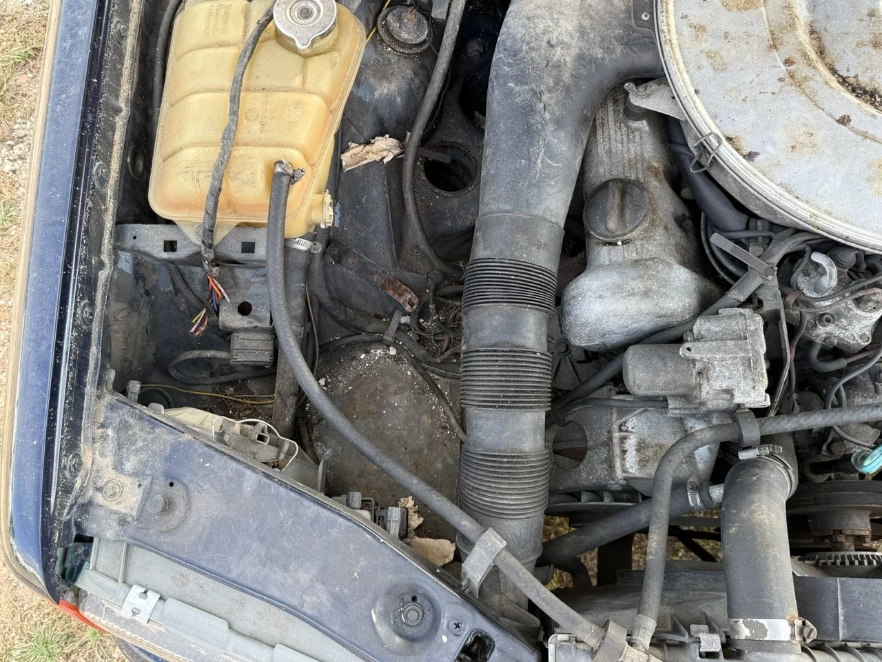 IMG_3419 – grande.jpeg