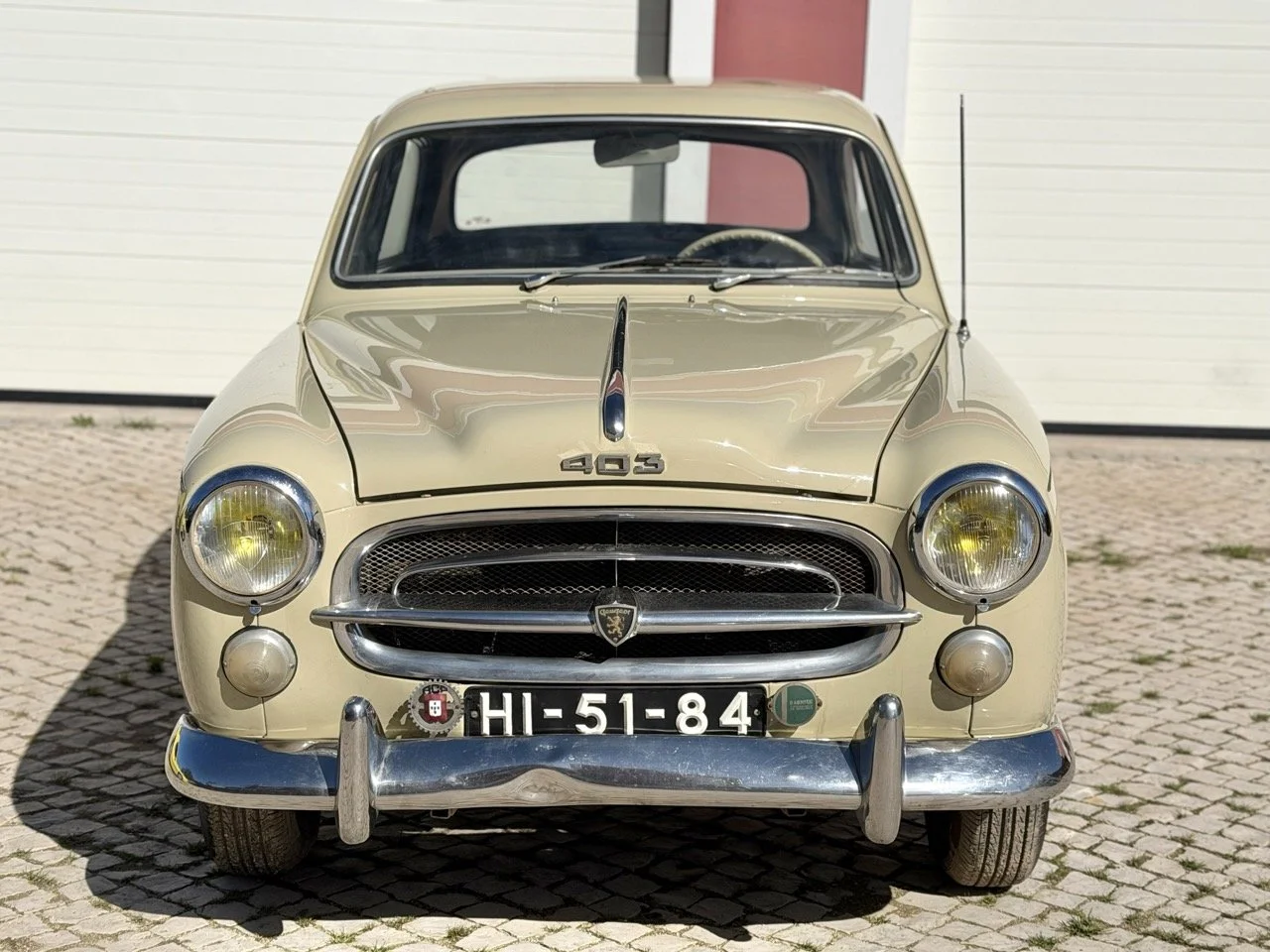 IMG_6637 – grande.jpeg