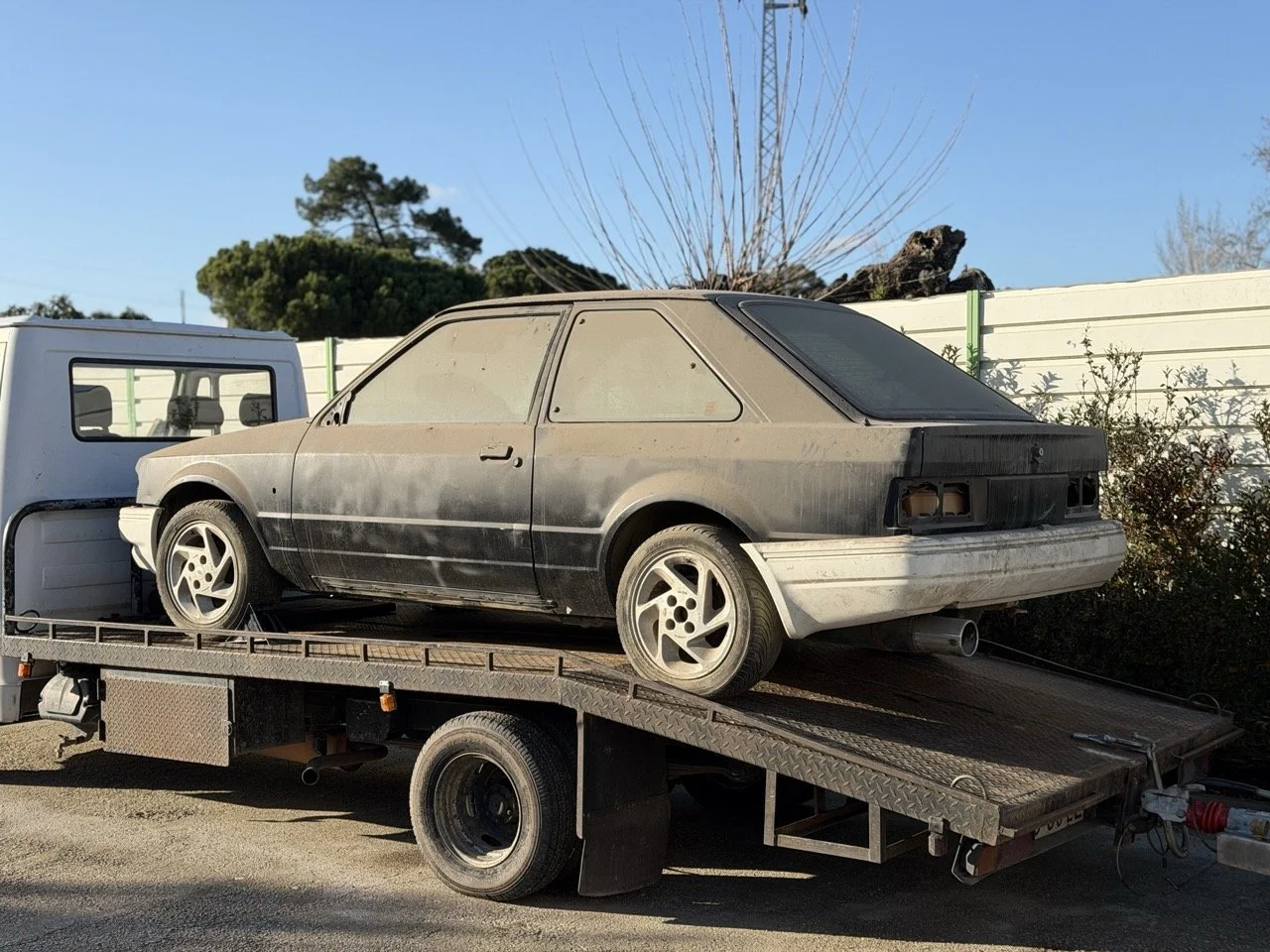 IMG_2428 – grande.jpeg