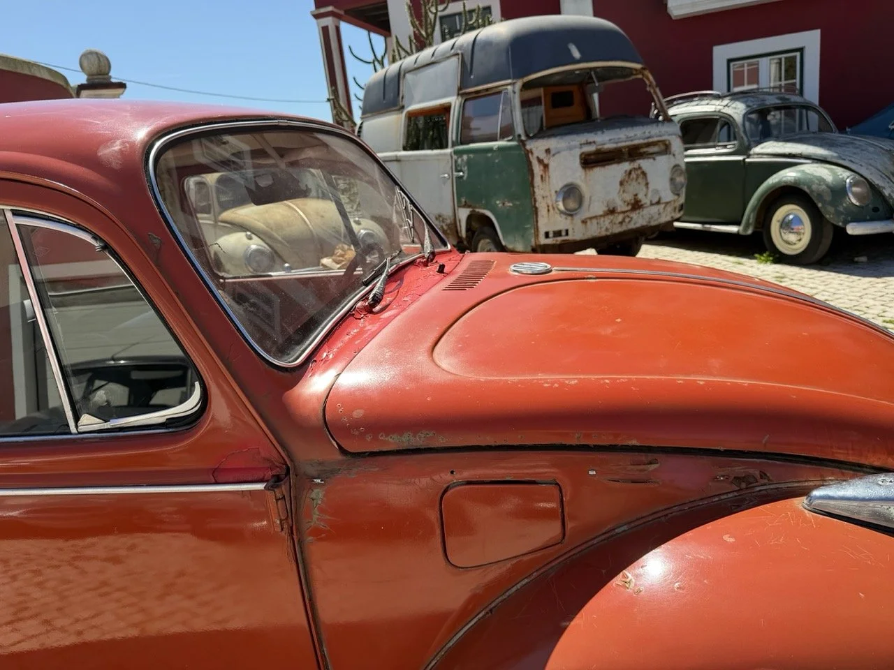 IMG_7594 – grande.jpeg