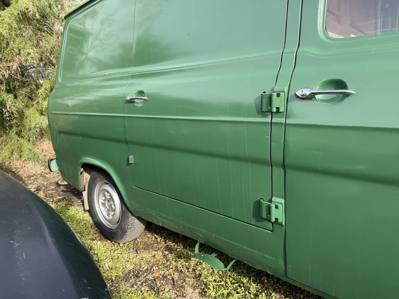 IMG_3896 – grande.jpeg