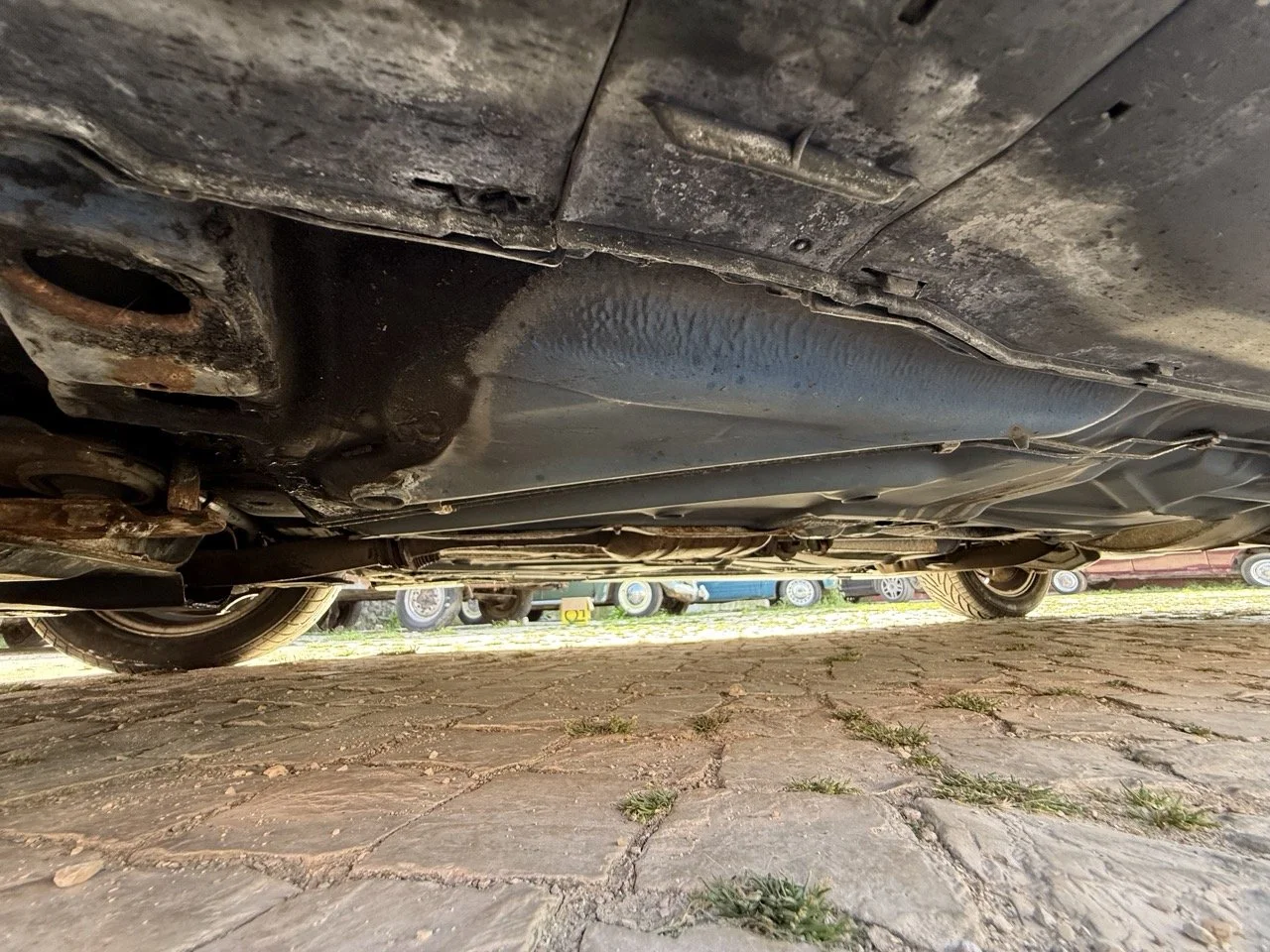 IMG_2498 – grande.jpeg