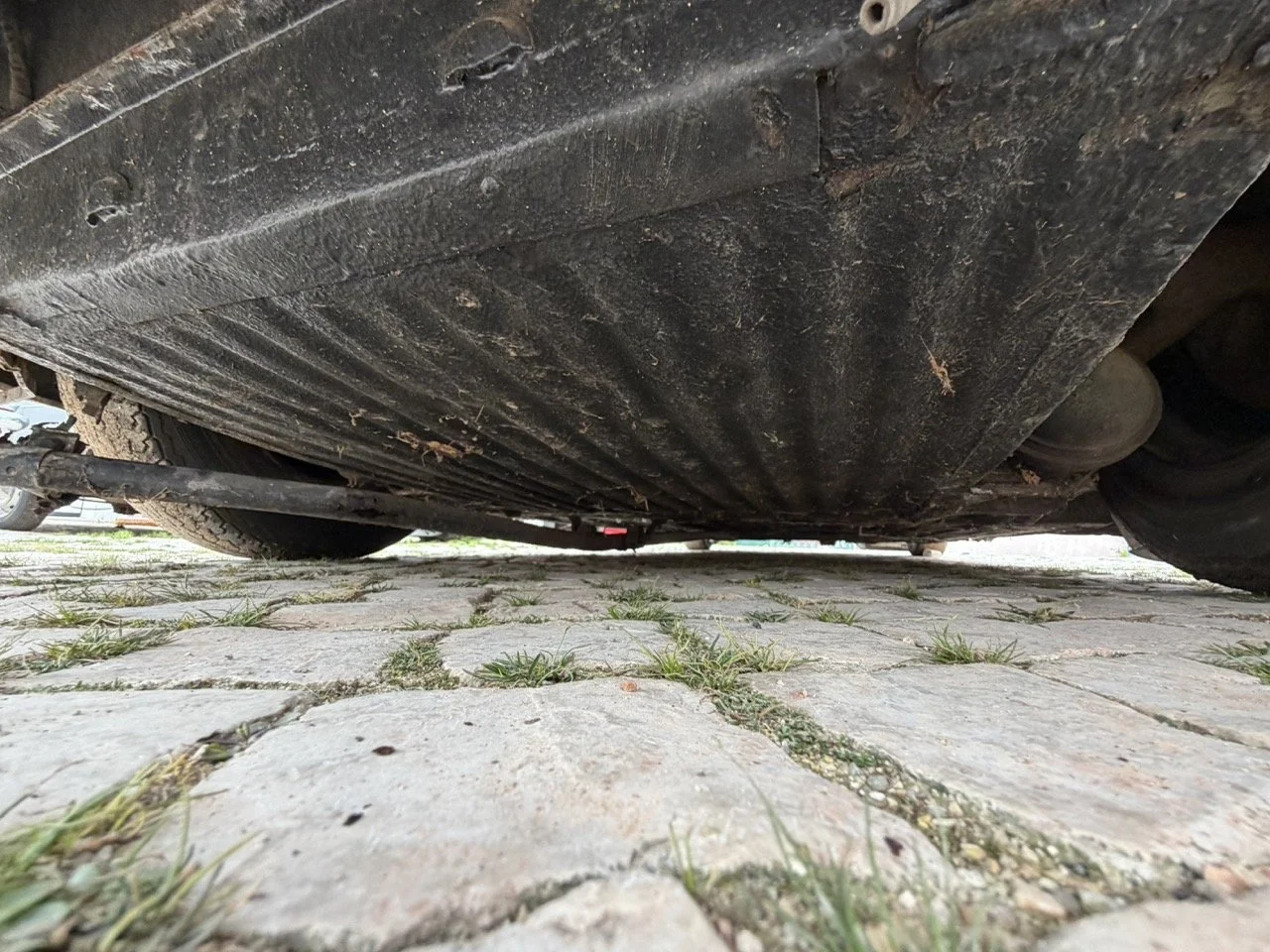 IMG_3782 – grande.jpeg