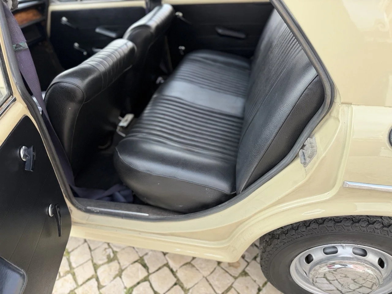 IMG_4034 – grande.jpeg