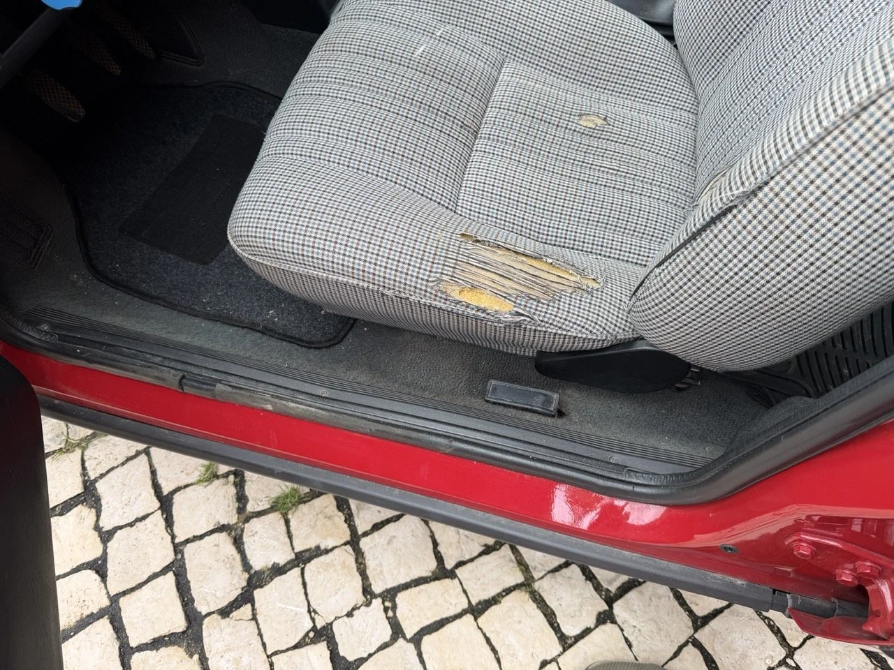 IMG_3462 – grande.jpeg