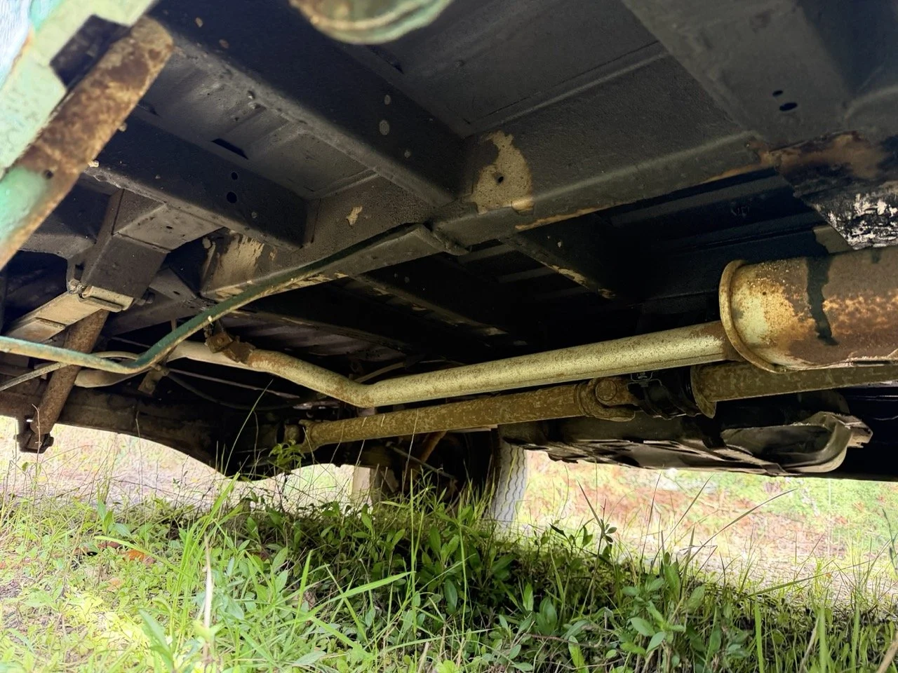 IMG_3900 – grande.jpeg