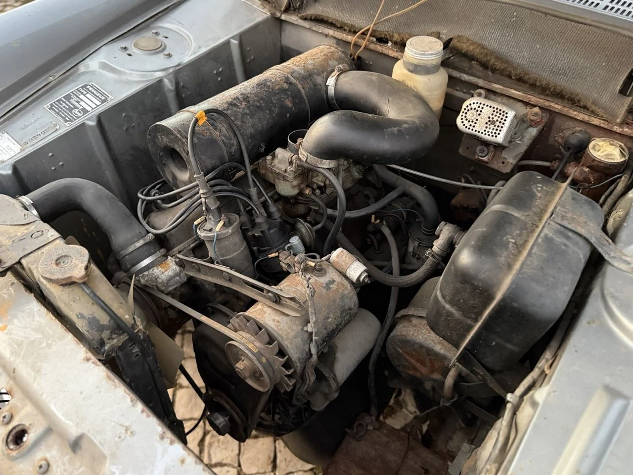 IMG_7506 – grande.jpeg