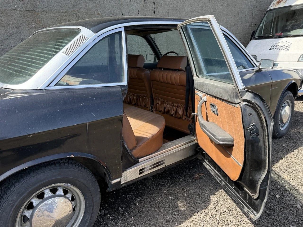 IMG_0595 – grande.jpeg