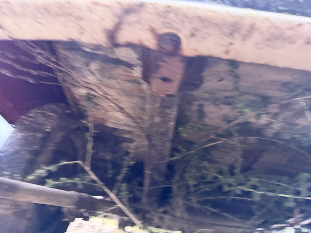 IMG_5507 – grande.jpeg