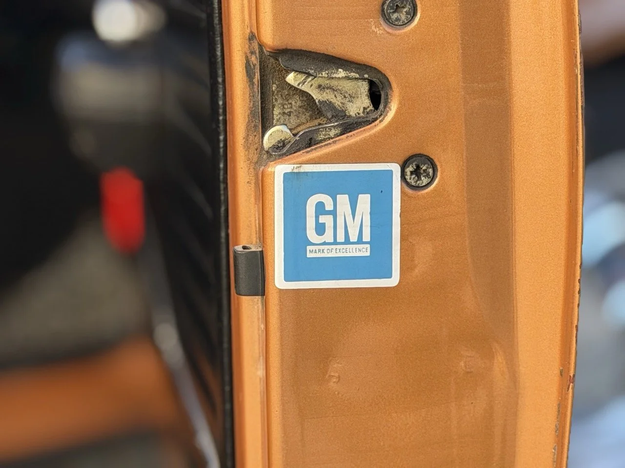 IMG_2384 – grande.jpeg