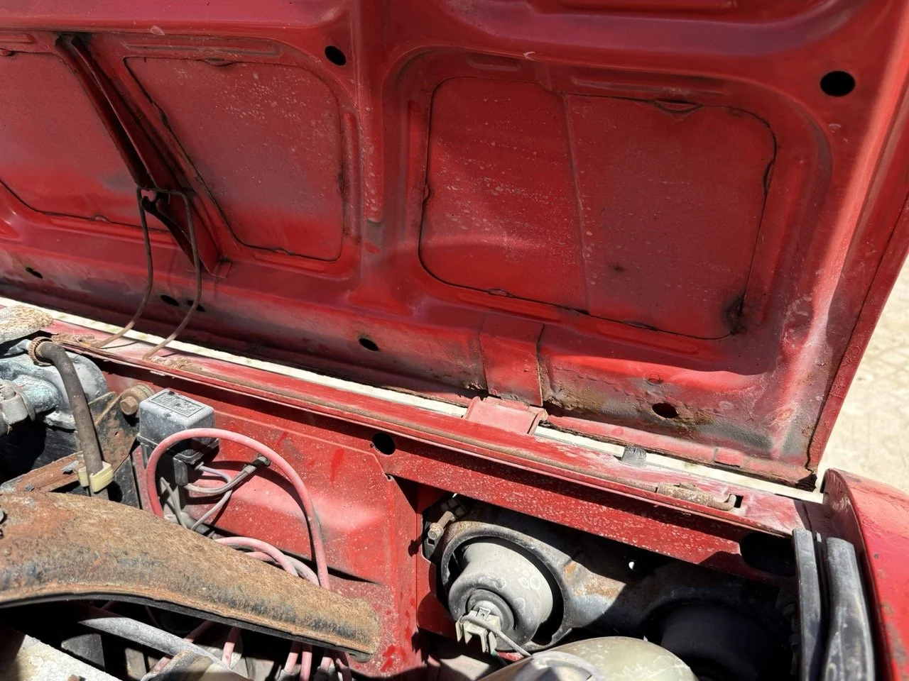 IMG_2299 – grande.jpeg