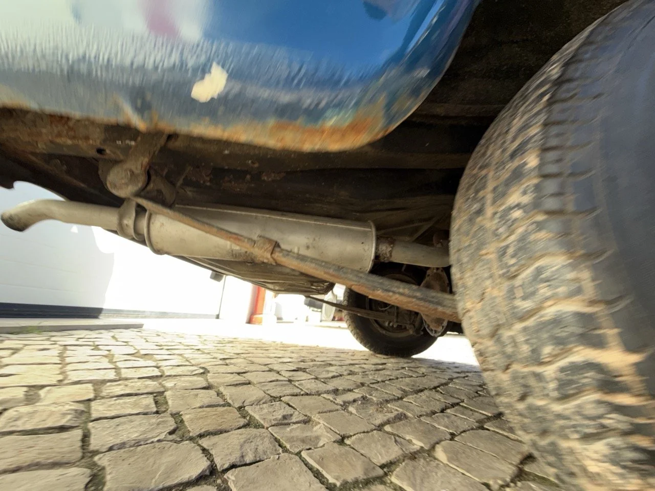 IMG_1900 – grande.jpeg